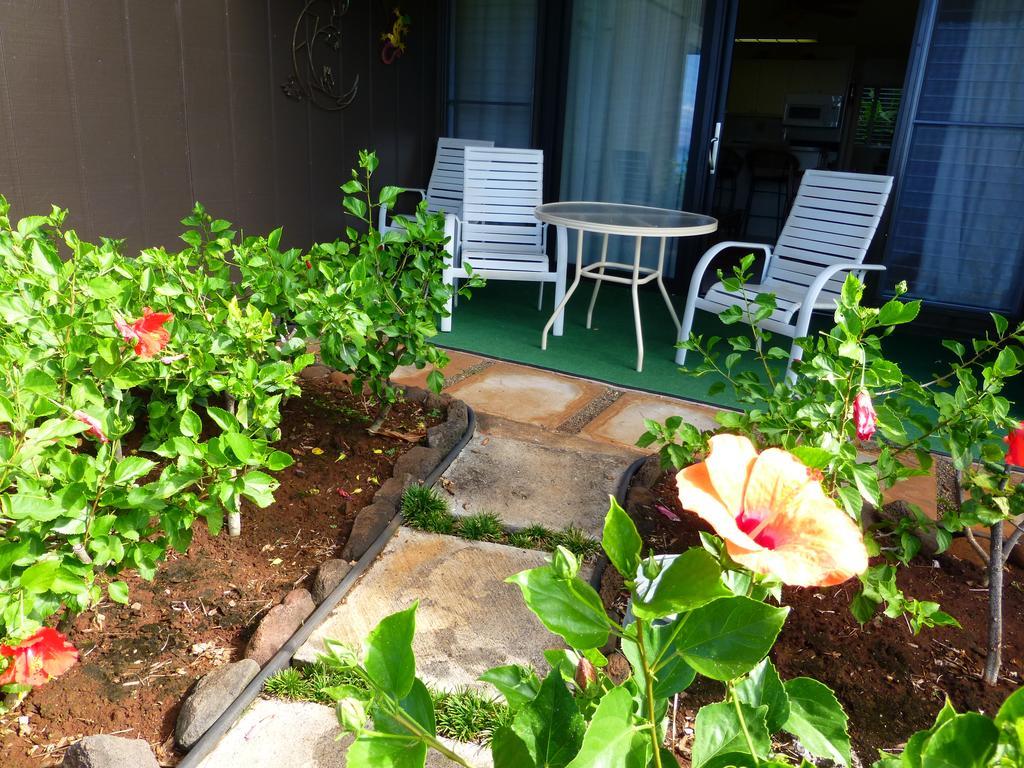 Mahina Surf 220 By Redawning Lejlighedshotel Lahaina Eksteriør billede