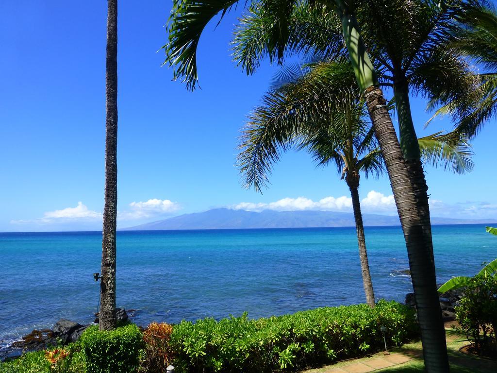 Mahina Surf 220 By Redawning Lejlighedshotel Lahaina Eksteriør billede