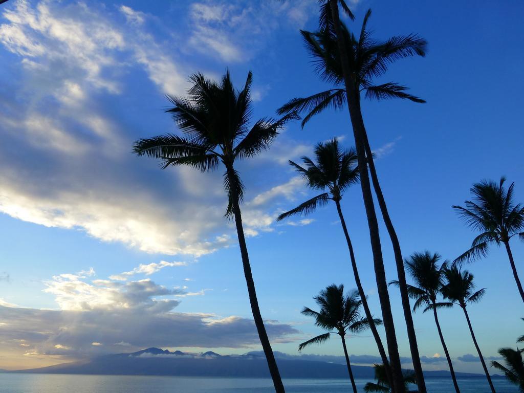 Mahina Surf 220 By Redawning Lejlighedshotel Lahaina Eksteriør billede
