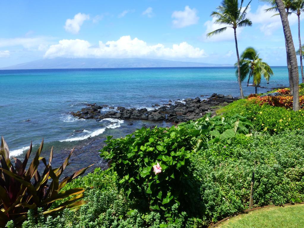 Mahina Surf 220 By Redawning Lejlighedshotel Lahaina Eksteriør billede